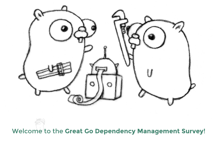 Go Dependency Management Survey Cover